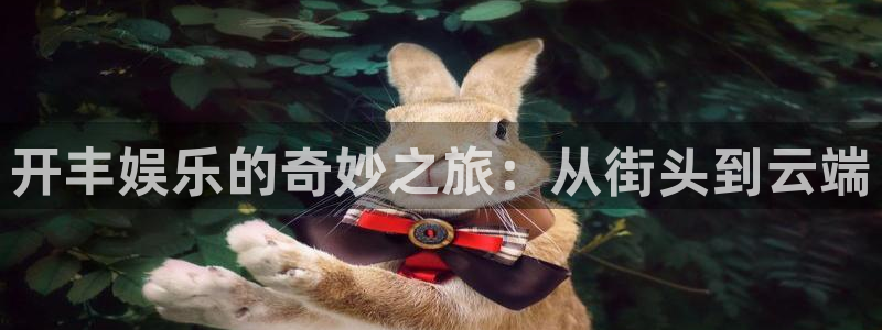 焦点娱乐app网页入口：开丰娱乐的奇妙之旅：从街头到云端