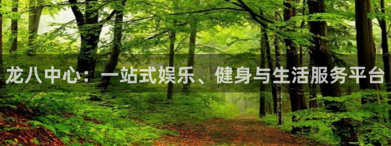 壹号大舞台：龙八中心：一站式娱乐、健身与生活服务平台