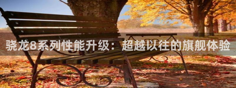 焦点娱乐app安卓版最新版：骁龙8系列性能升级：超越以往的旗舰体验