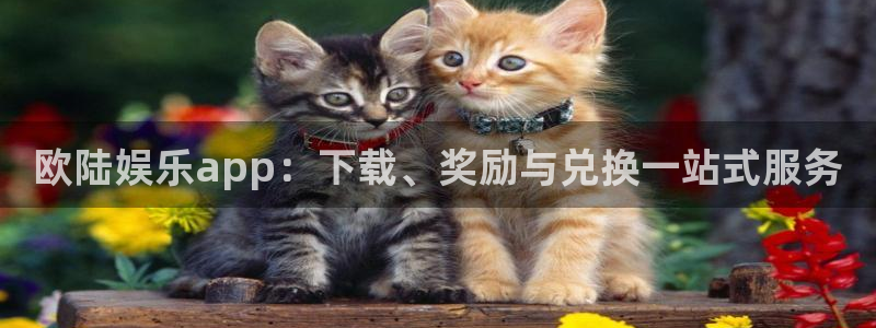 焦点娱乐下载并安装：欧陆娱乐app：下载、奖励与兑换一站式服务