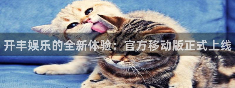 焦点娱乐哪个游戏好爆：开丰娱乐的全新体验：官方移动版正式上线