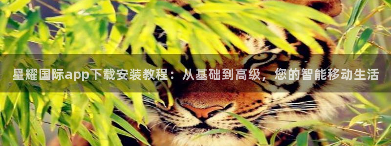 壹号电子娱乐app下载最新版：星耀国际app下载安装教程：从基础到高级，您的智能移动生活