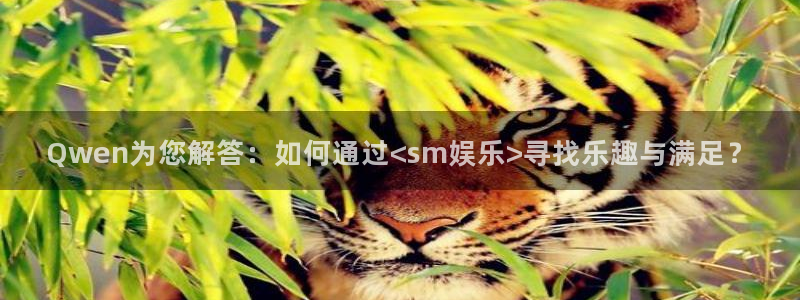 壹号大舞台娱乐app下载安装：Qwen为您解答：如何通过<sm娱乐>寻找乐趣与满足？