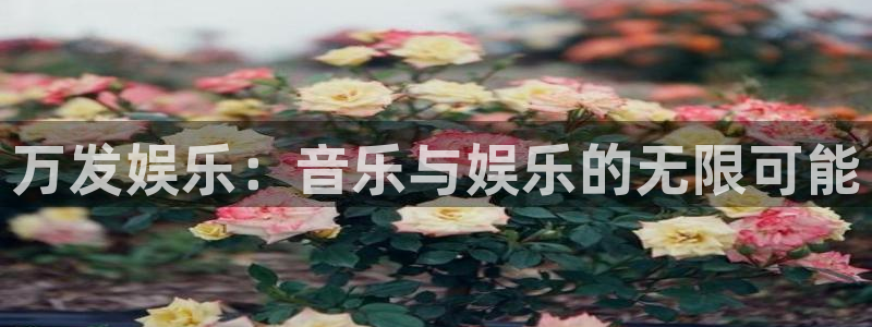 焦点娱乐app最新版下载：万发娱乐：音乐与娱乐的无限可能
