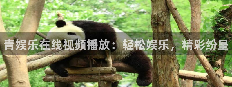 焦点娱乐版本.立即访问注册.中国：青娱乐在线视频播放：轻松娱乐，精彩纷呈