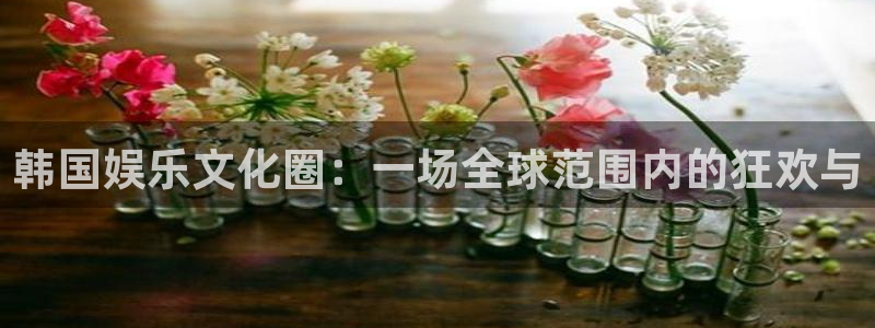 焦点娱乐电子游戏官网：韩国娱乐文化圈：一场全球范围内的狂欢与