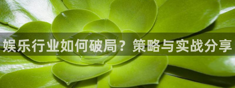 焦点娱乐app官网下载：娱乐行业如何破局？策略与实战分享