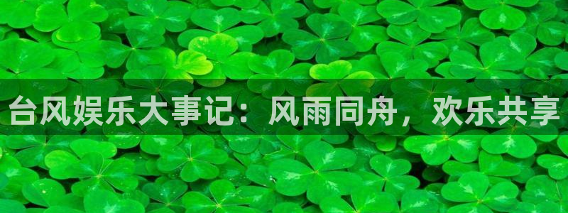 焦点娱乐官网版下载：台风娱乐大事记：风雨同舟，欢乐共享