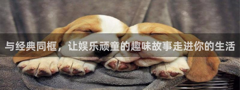 焦点娱乐官方网站下载：与经典同框，让娱乐顽童的趣味故事走进你的生活