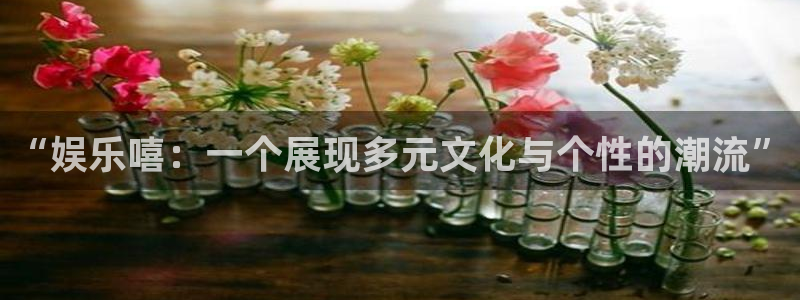 焦点娱乐产品界面重塑.快速访问：“娱乐嘻：一个展现多元文化与个性的潮流”