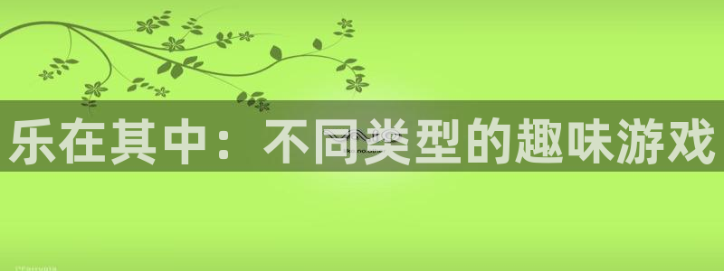 苹果版焦点娱乐下载安装：乐在其中：不同类型的趣味游戏