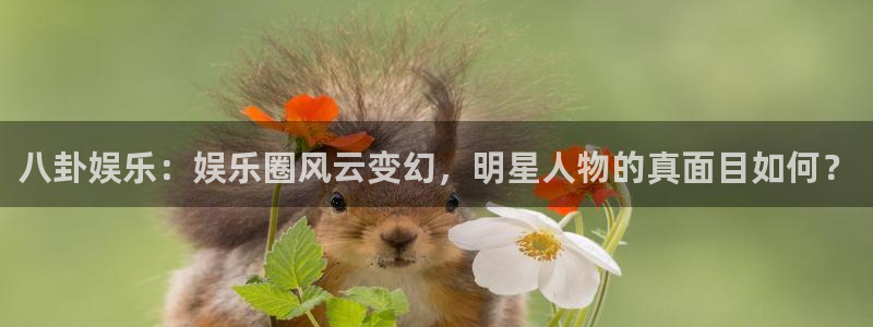 焦点娱乐强制退款流程详解：八卦娱乐：娱乐圈风云变幻，明星人物的真面目如何？