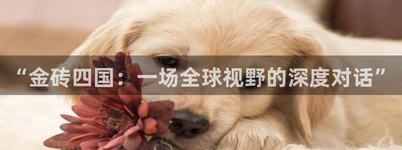 焦点娱乐平台链接：“金砖四国：一场全球视野的深度对话”