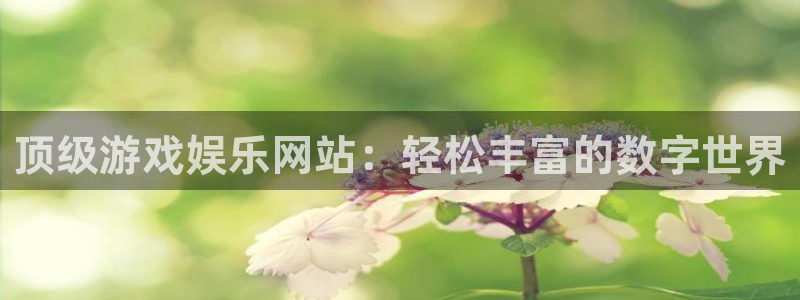 壹号app下载官网娱乐：顶级游戏娱乐网站：轻松丰富的数字世界