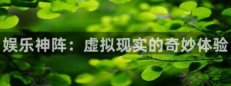 焦点娱乐app最新版下载：娱乐神阵：虚拟现实的奇妙体验
