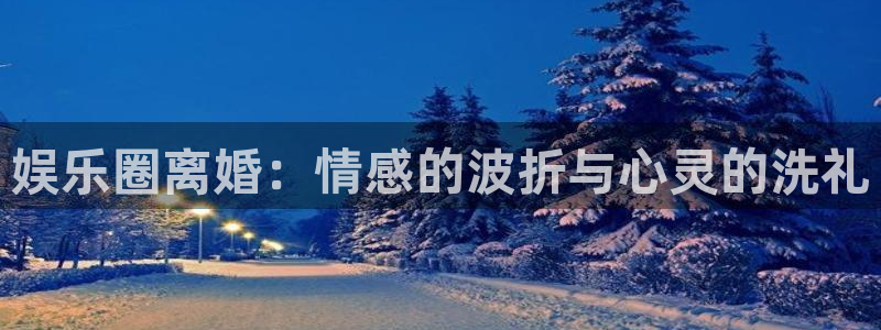 焦点娱乐,apk.1：娱乐圈离婚：情感的波折与心灵的洗礼