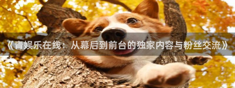 焦点娱乐注册入口与教程：《青娱乐在线：从幕后到前台的独家内容与粉丝交流》