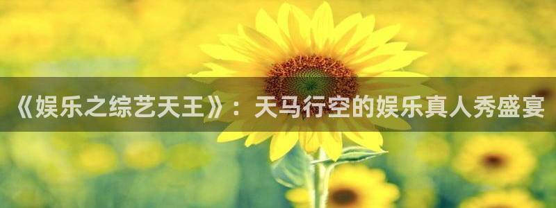焦点娱乐平台官网登录入口：《娱乐之综艺天王》：天马行空的娱乐真人秀盛宴