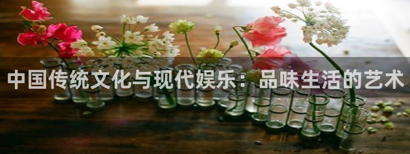 焦点娱乐注册网站app：中国传统文化与现代娱乐：品味生活的艺术