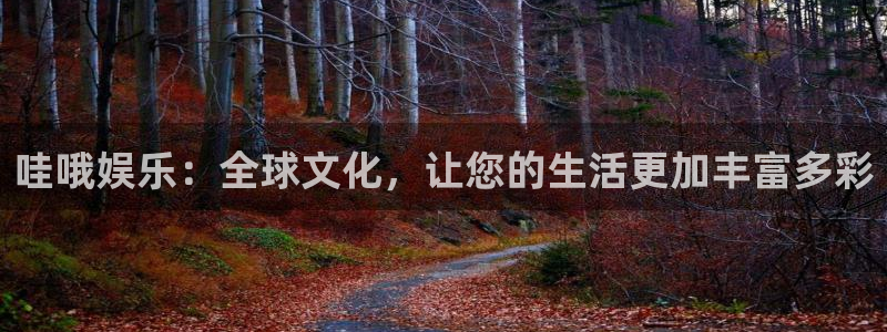 壹号大舞台有梦你就来：哇哦娱乐：全球文化，让您的生活更加丰富多彩