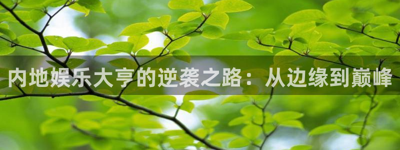 焦点娱乐有梦你就来：内地娱乐大亨的逆袭之路：从边缘到巅峰