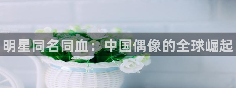 焦点娱乐下载入口：明星同名同血：中国偶像的全球崛起