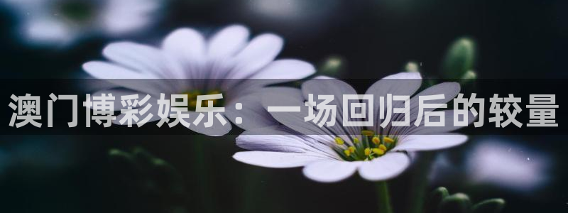 焦点娱乐入口登录网址：澳门博彩娱乐：一场回归后的较量