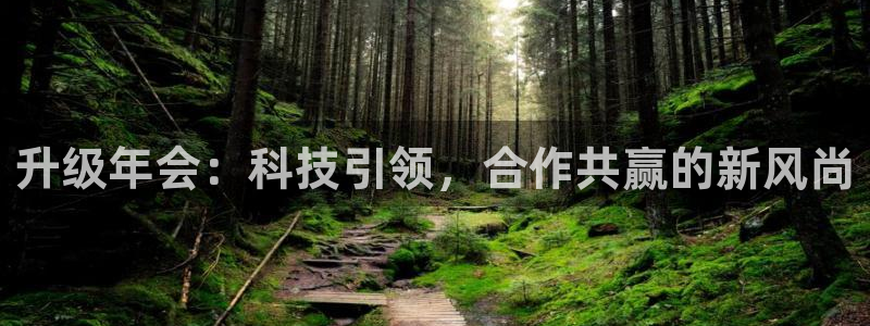 焦点娱乐下载链接：升级年会：科技引领，合作共赢的新风尚