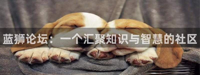 焦点娱乐app下载：蓝狮论坛：一个汇聚知识与智慧的社区