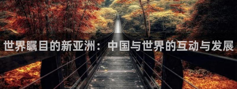 焦点娱乐平台官网入口下载：世界瞩目的新亚洲：中国与世界的互动与发展