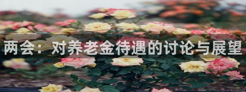 焦点娱乐vip麻将胡了：两会：对养老金待遇的讨论与展望