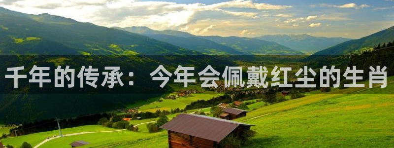 焦点娱乐app下载：千年的传承：今年会佩戴红尘的生肖
