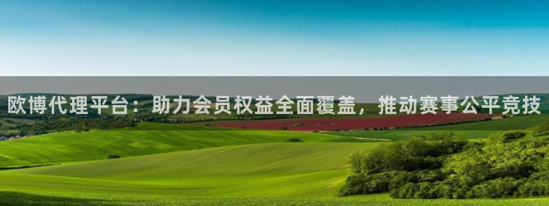 焦点娱乐注册入口：欧博代理平台：助力会员权益全面覆盖，推动赛事公平竞技