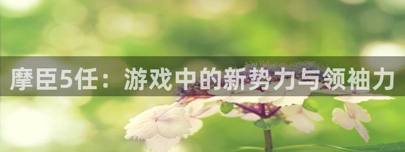 焦点娱乐热门活动有哪些：摩臣5任：游戏中的新势力与领袖力