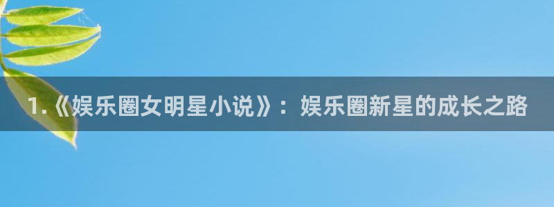 焦点娱乐平台官网版下载：1.《娱乐圈女明星小说》：娱乐圈新星的成长之路