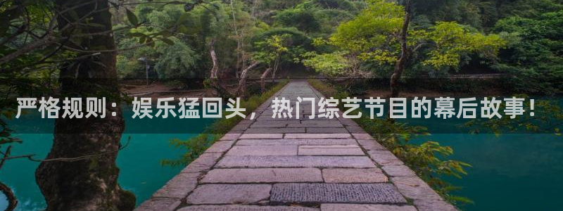 焦点娱乐平台注册：严格规则：娱乐猛回头，热门综艺节目的幕后故事！