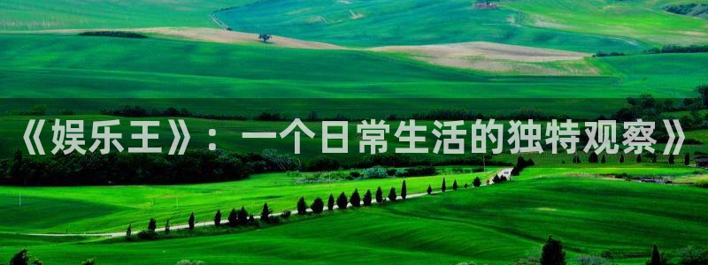 焦点娱乐网站登录流程：《娱乐王》：一个日常生活的独特观察》