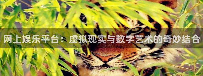 焦点娱乐在线下载：网上娱乐平台：虚拟现实与数字艺术的奇妙结合