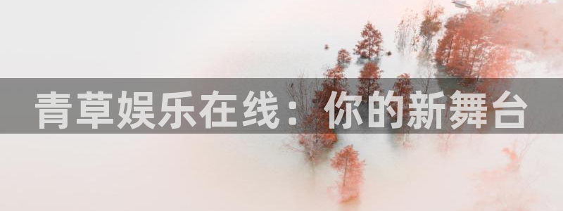 焦点娱乐游戏点击进入.精品推荐区.中国：青草娱乐在线：你的新舞台