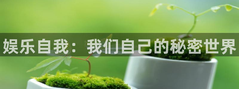 焦点娱乐设计焕新上线.页面浏览.中国：娱乐自我：我们自己的秘密世界