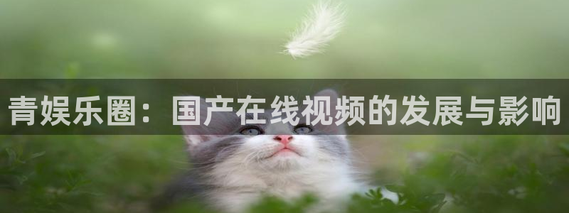 焦点娱乐平台官网版下载：青娱乐圈：国产在线视频的发展与影响