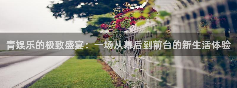 壹号电子娱乐app：青娱乐的极致盛宴：一场从幕后到前台的新生活体验