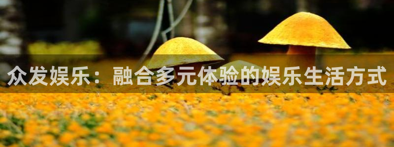 焦点娱乐注册网站链接：众发娱乐：融合多元体验的娱乐生活方式