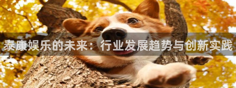 焦点娱乐注册入口与教程：泰康娱乐的未来：行业发展趋势与创新实践