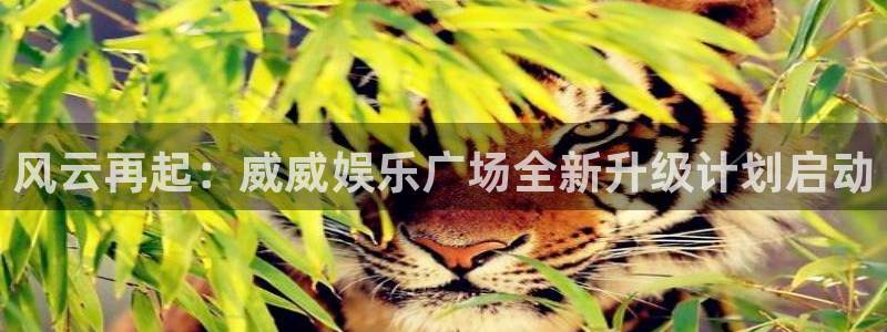 焦点娱乐注册网站链接：风云再起：威威娱乐广场全新升级计划启动