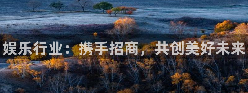 焦点娱乐平台：娱乐行业：携手招商，共创美好未来